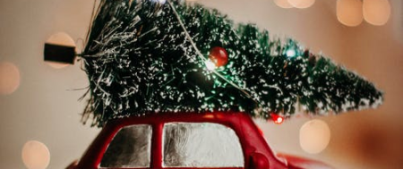 2025 Christmas cracker sale